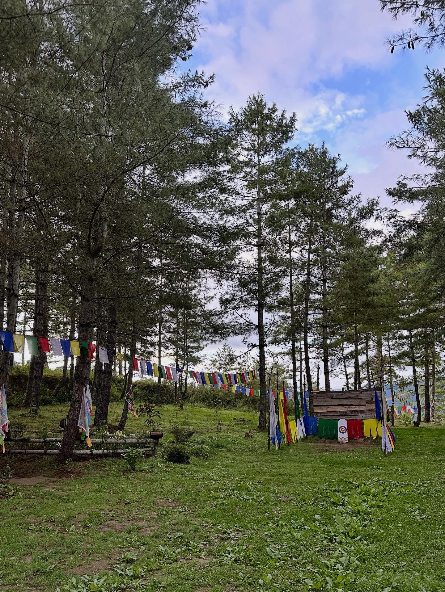 キャンプ場、草、木の画像のようです