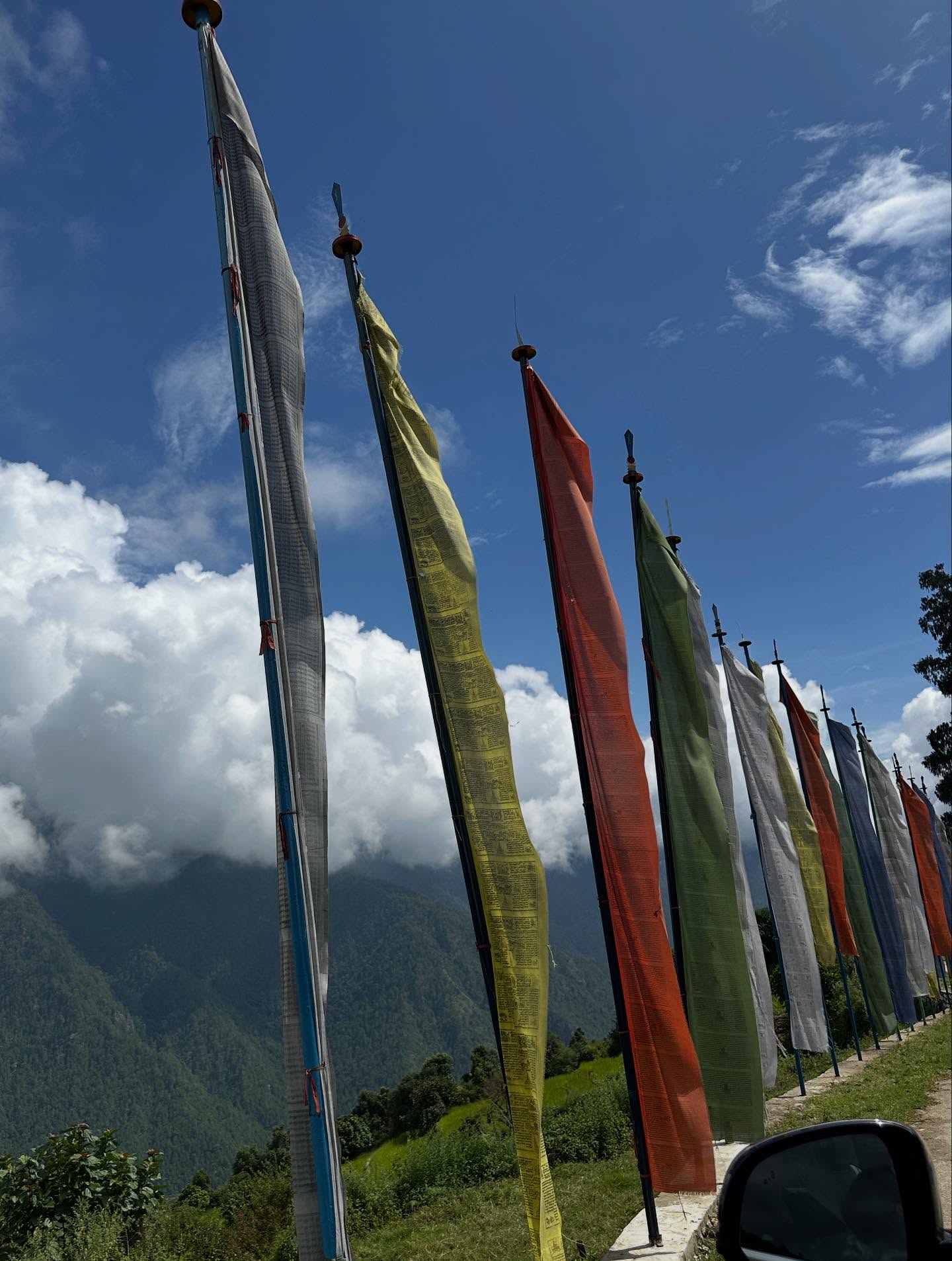 写真の説明はありません。