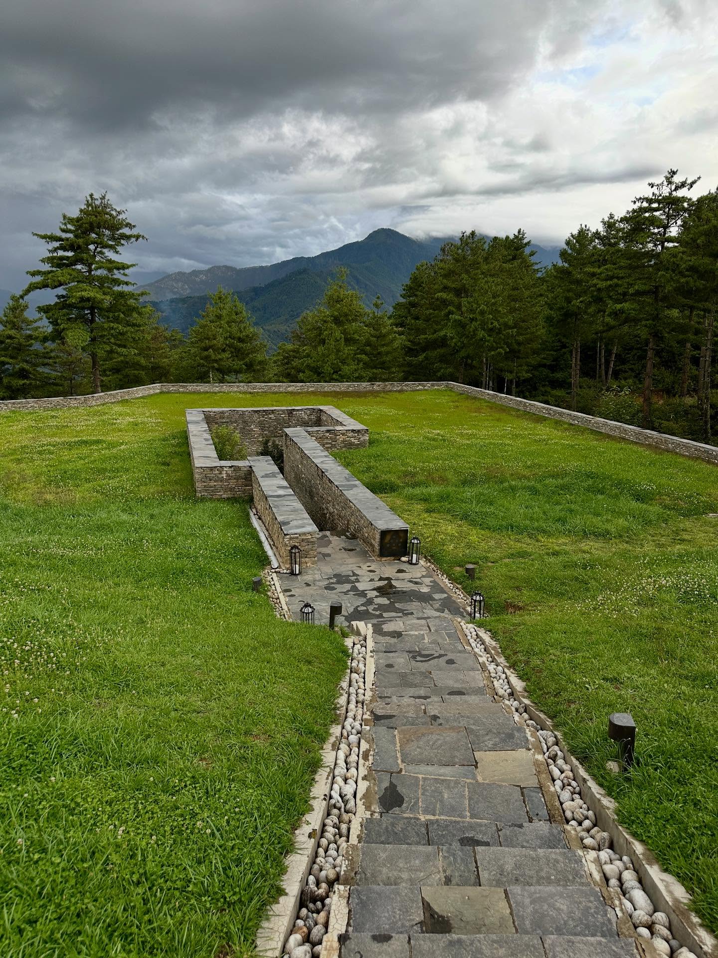 草の画像のようです