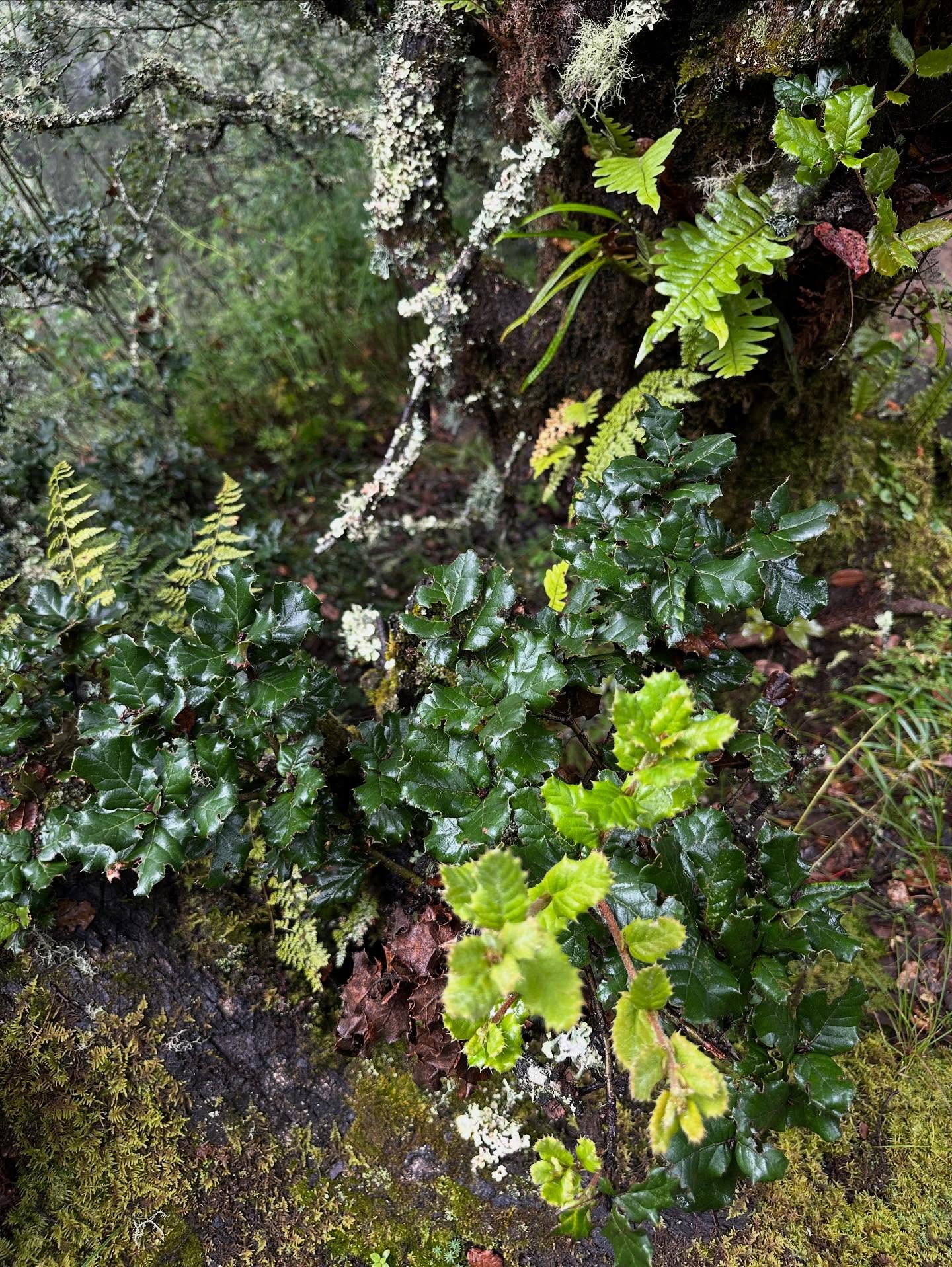 写真の説明はありません。