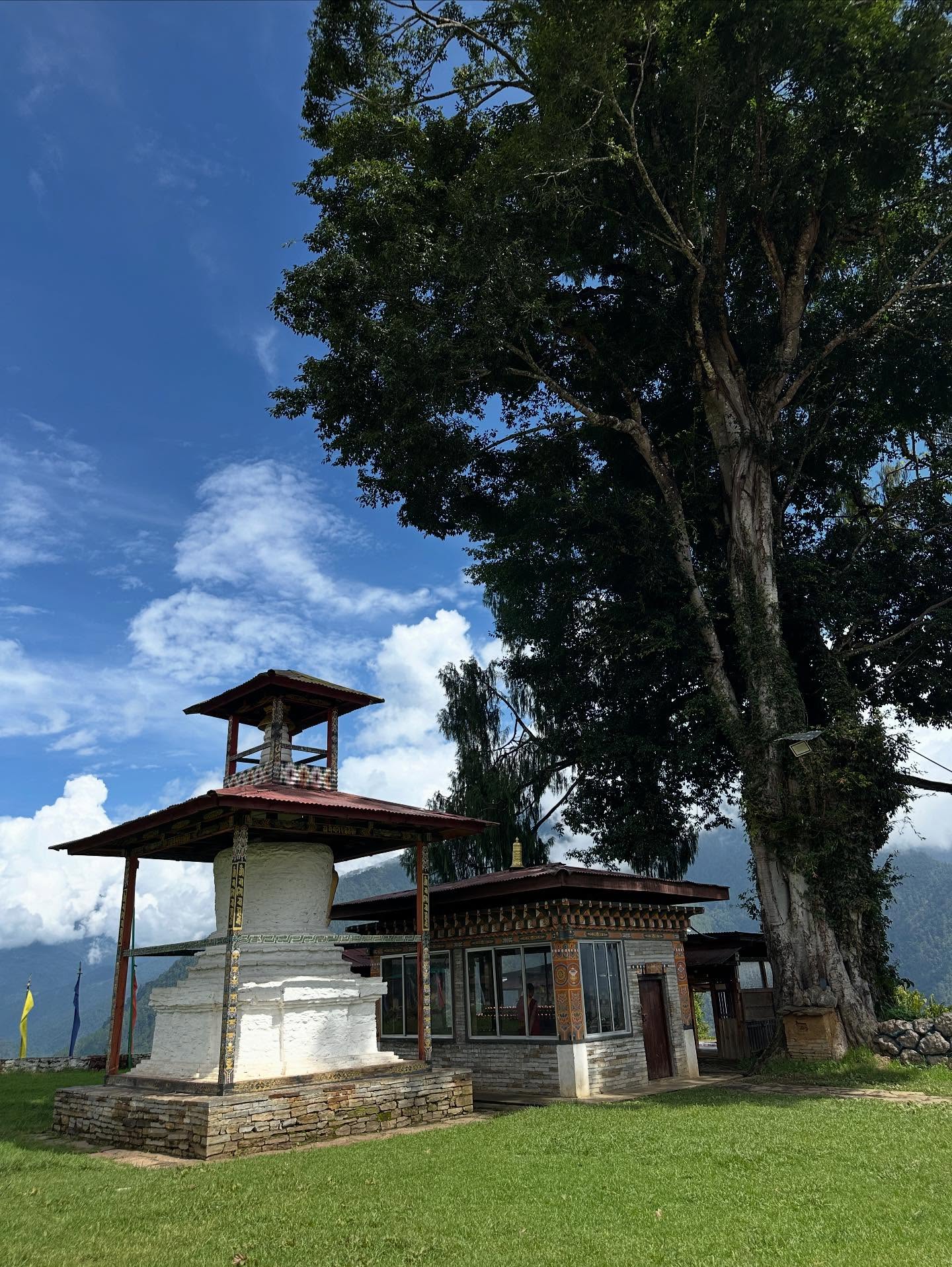 木、寺院の画像のようです