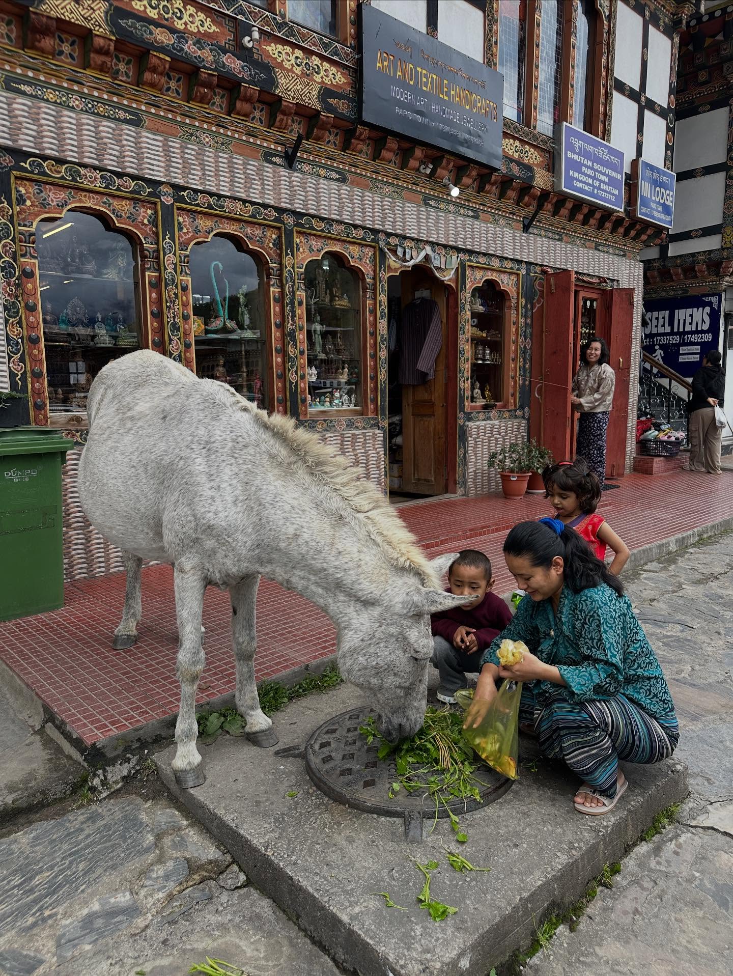 5人、フタコブラクダ、テキストの画像のようです