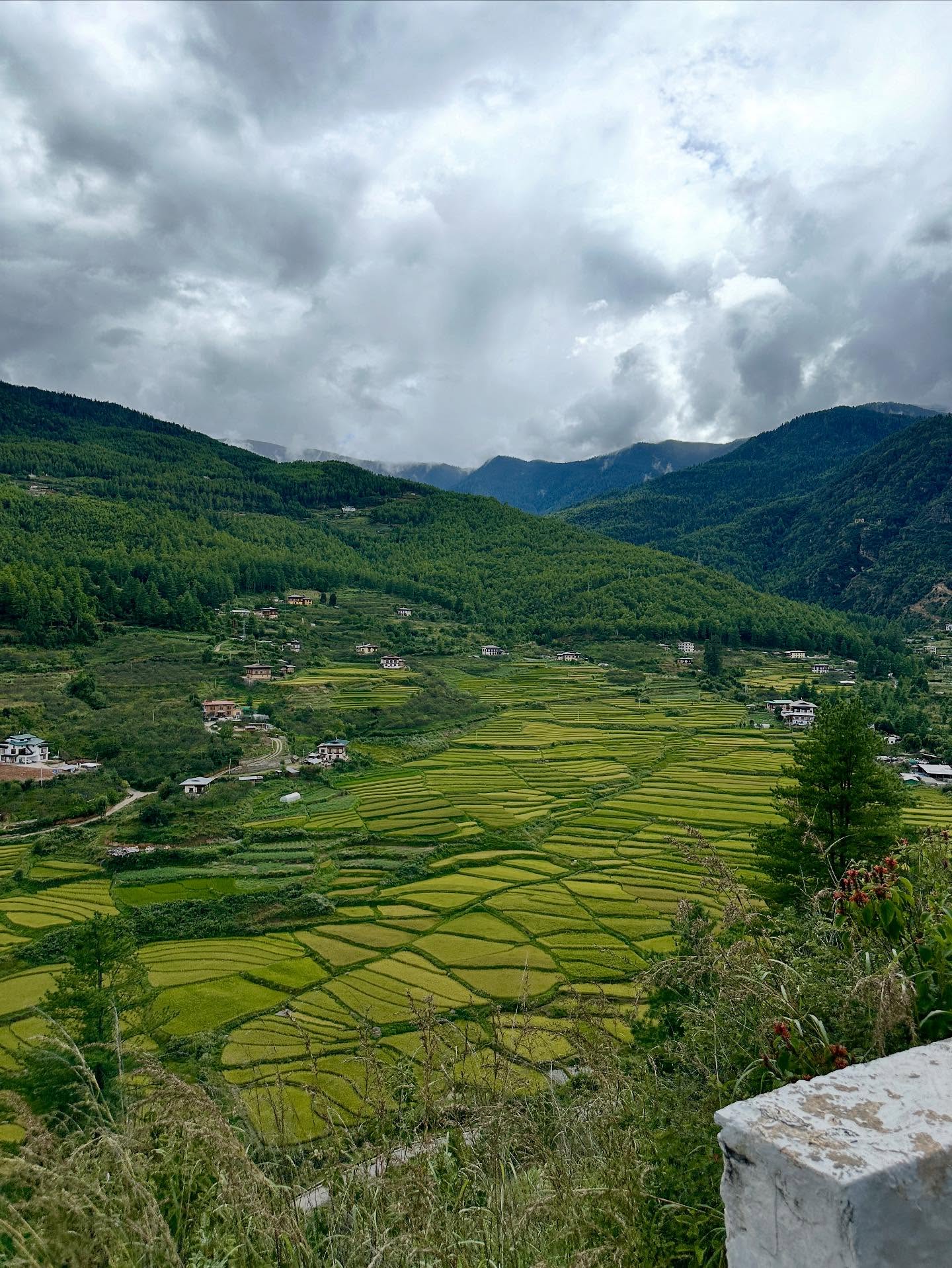 山の画像のようです