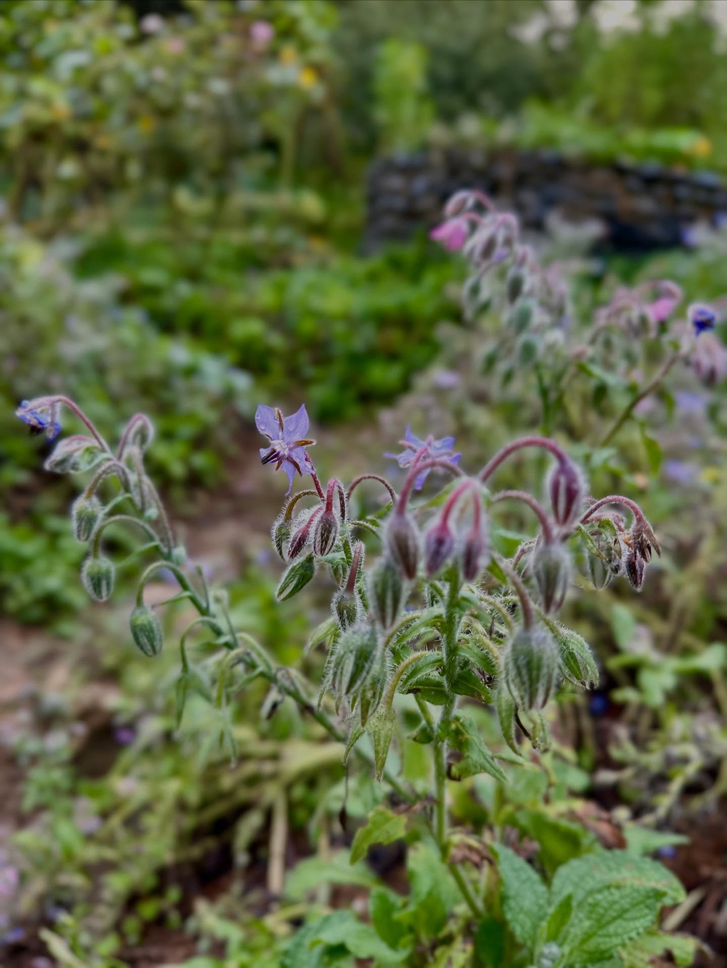 写真の説明はありません。