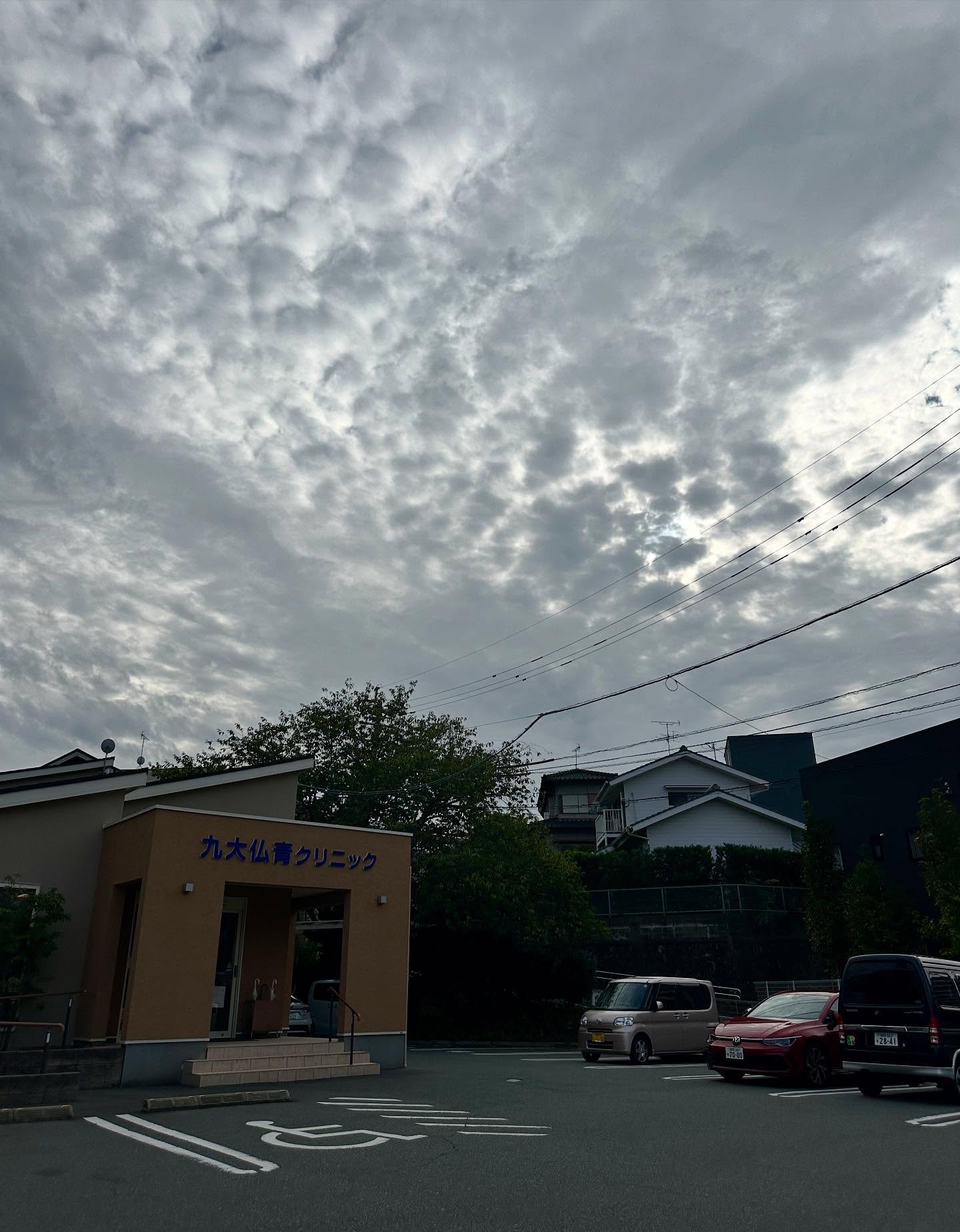 鳥、雲の画像のようです