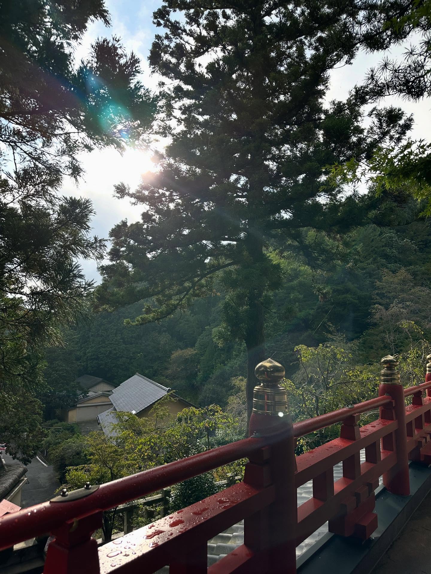 ウィンドチャイム、伏見稲荷大社の画像のようです