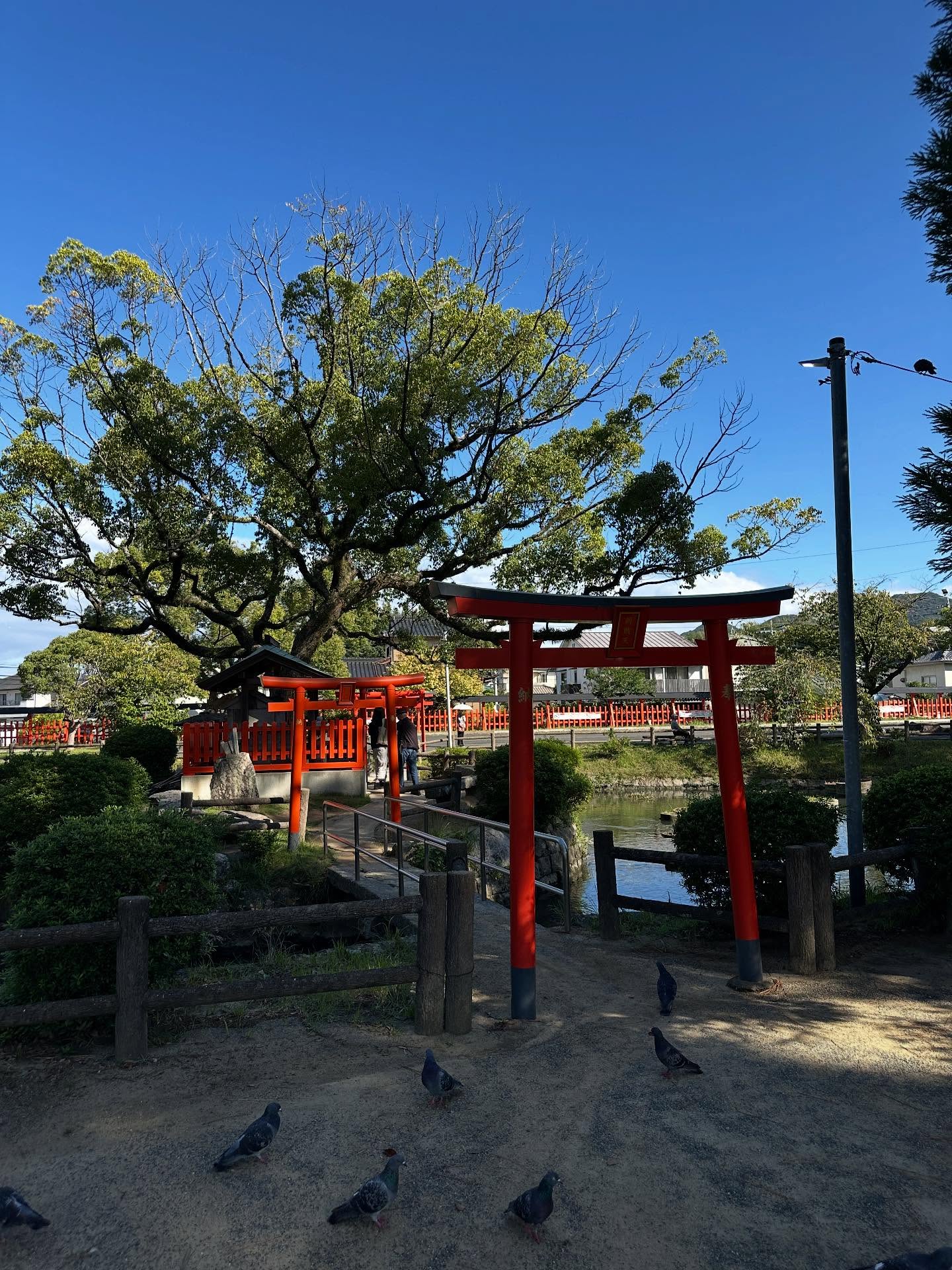 ウィンドチャイム、伏見稲荷大社の画像のようです