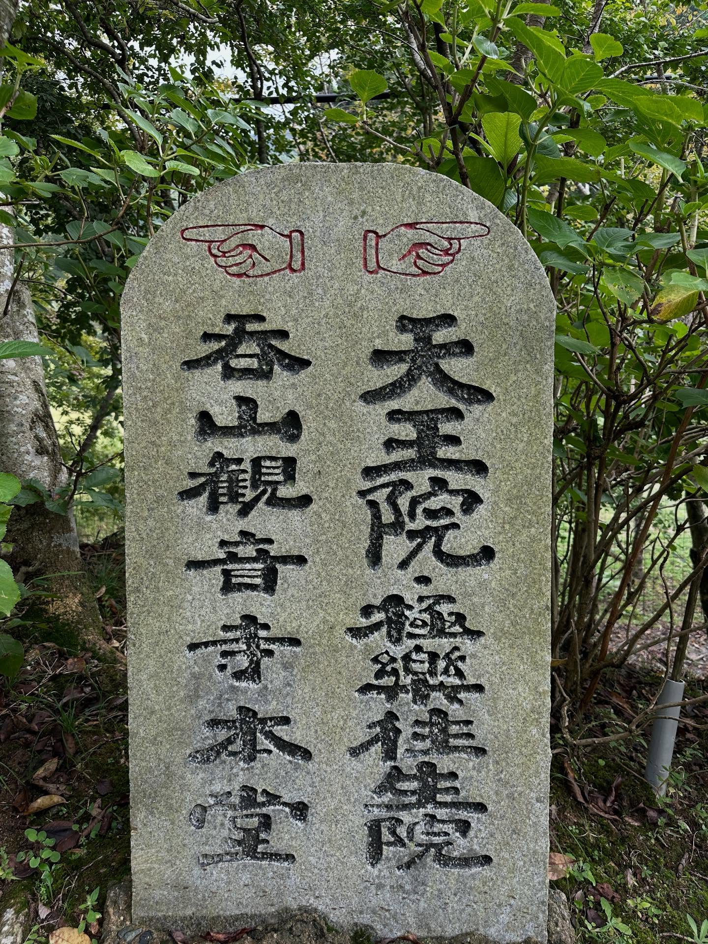 テキストの画像のようです