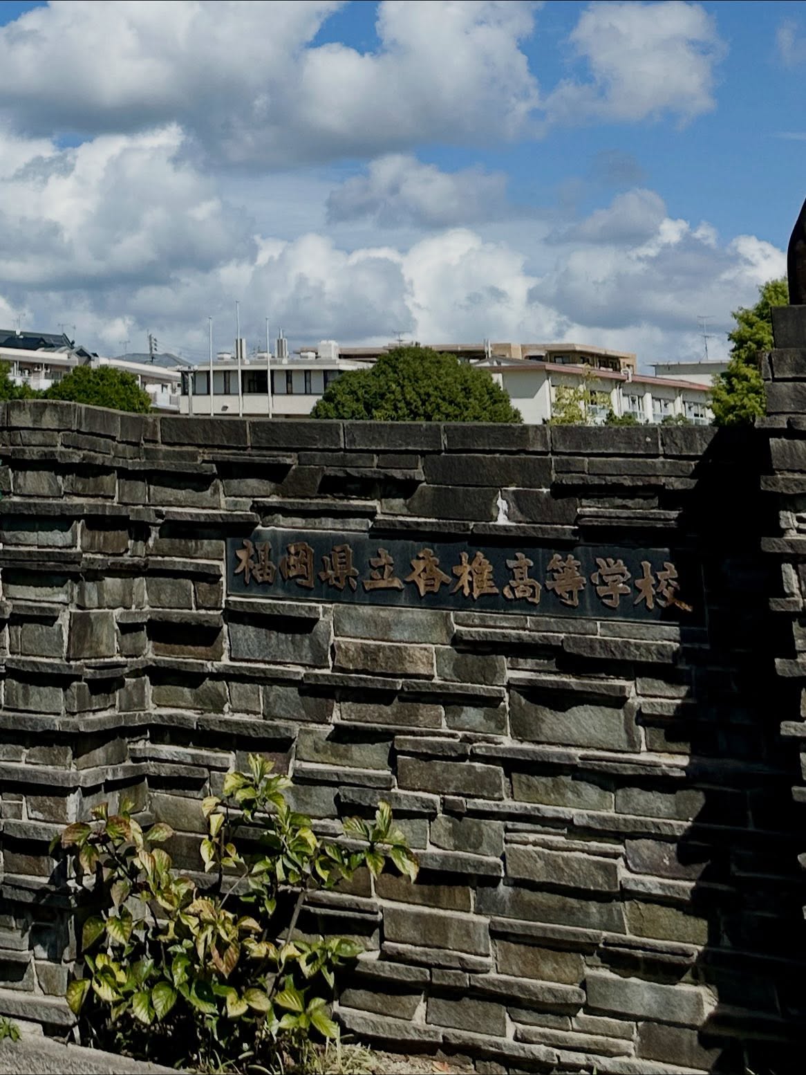 写真の説明はありません。