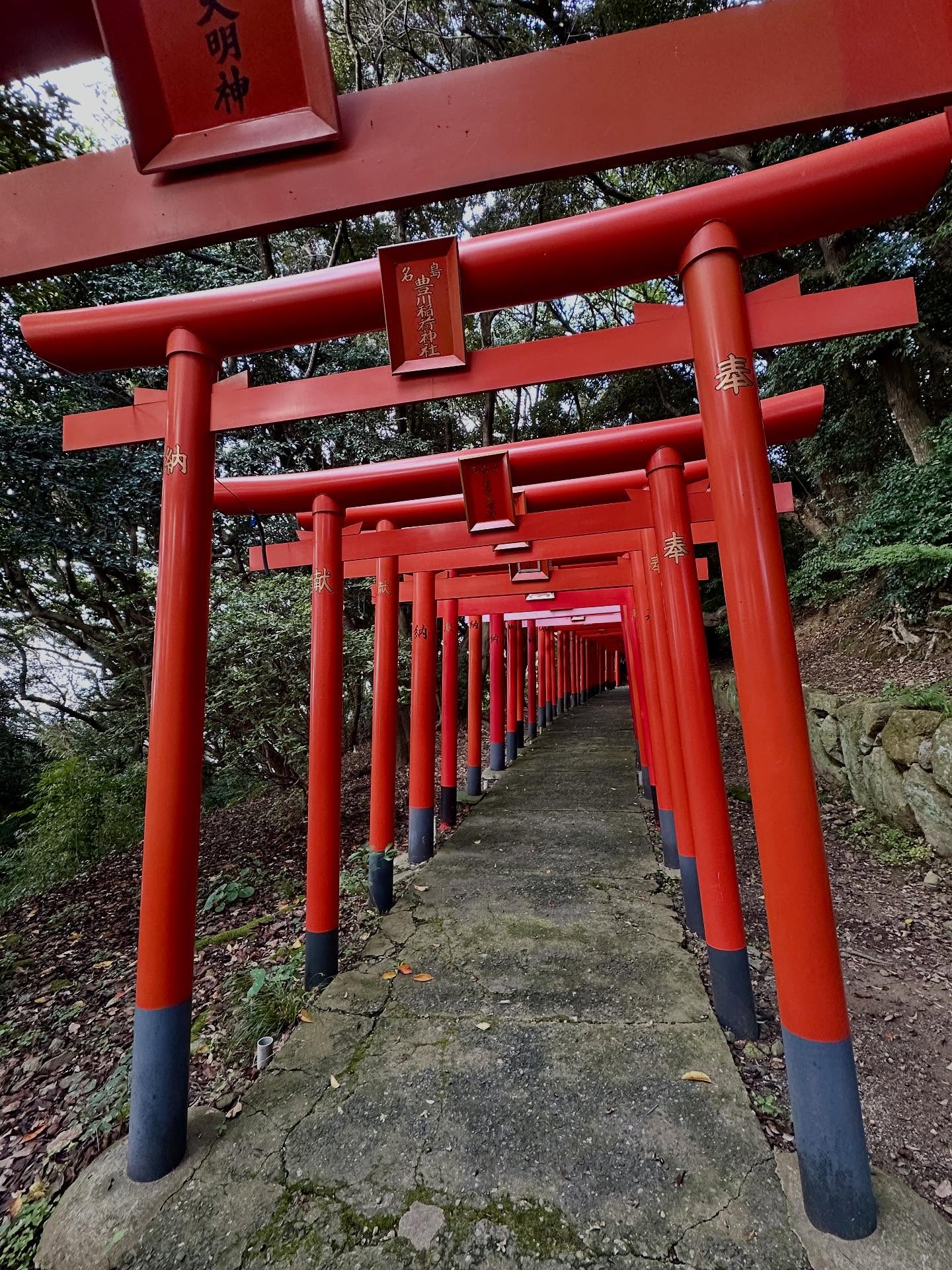 伏見稲荷大社の画像のようです