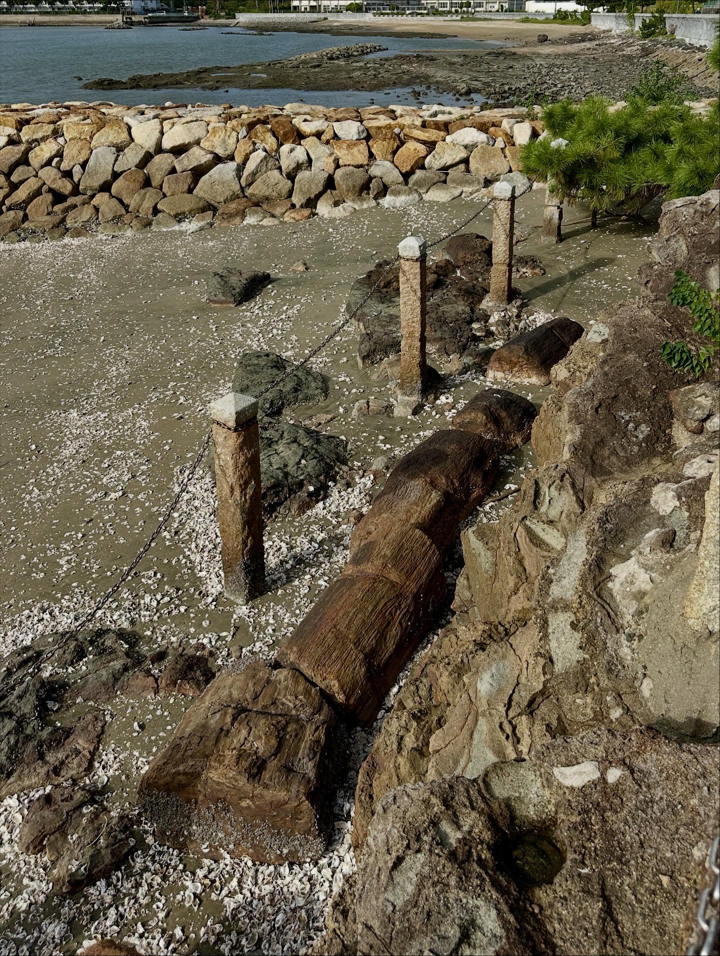 写真の説明はありません。