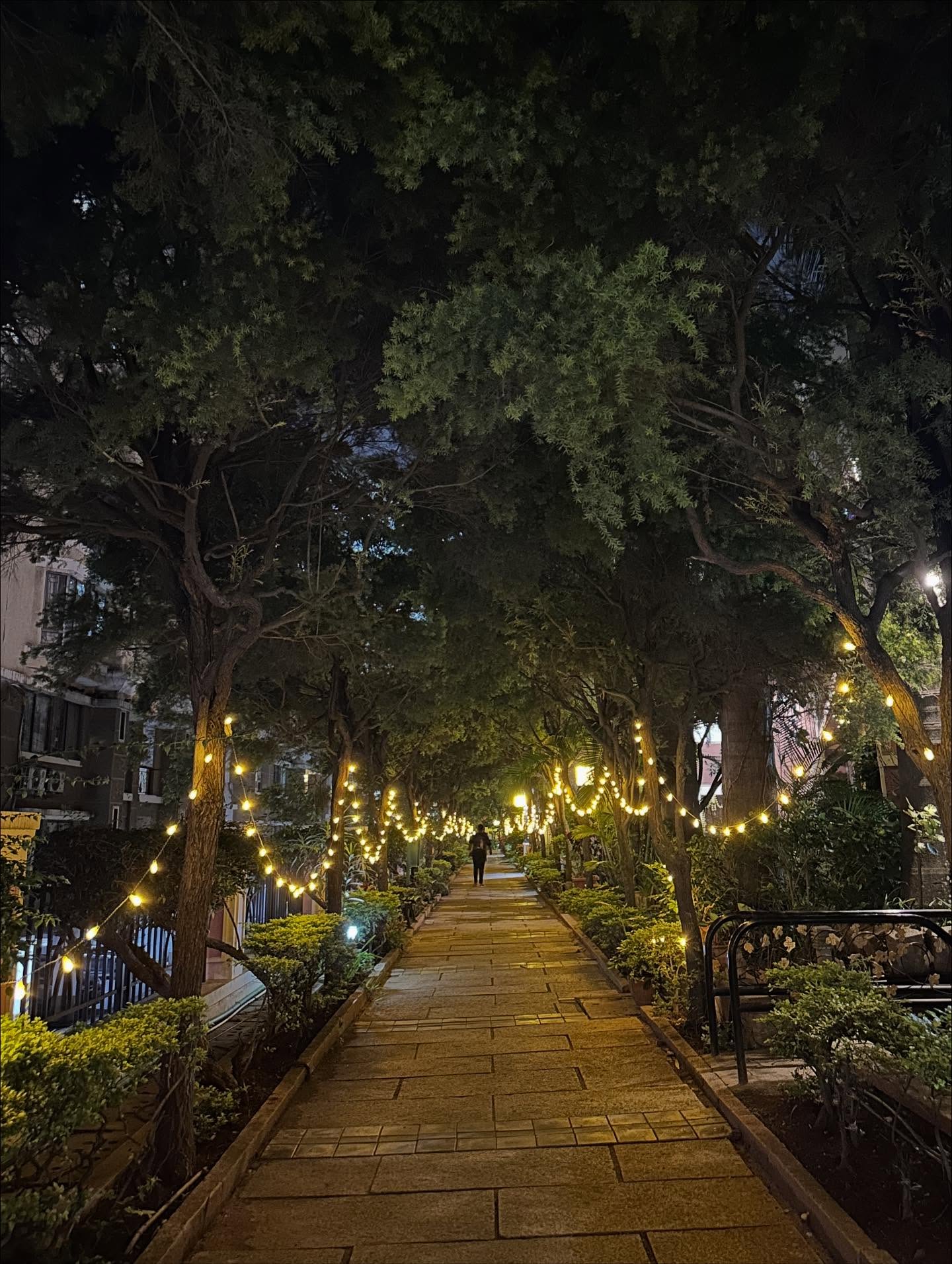 通りの画像のようです