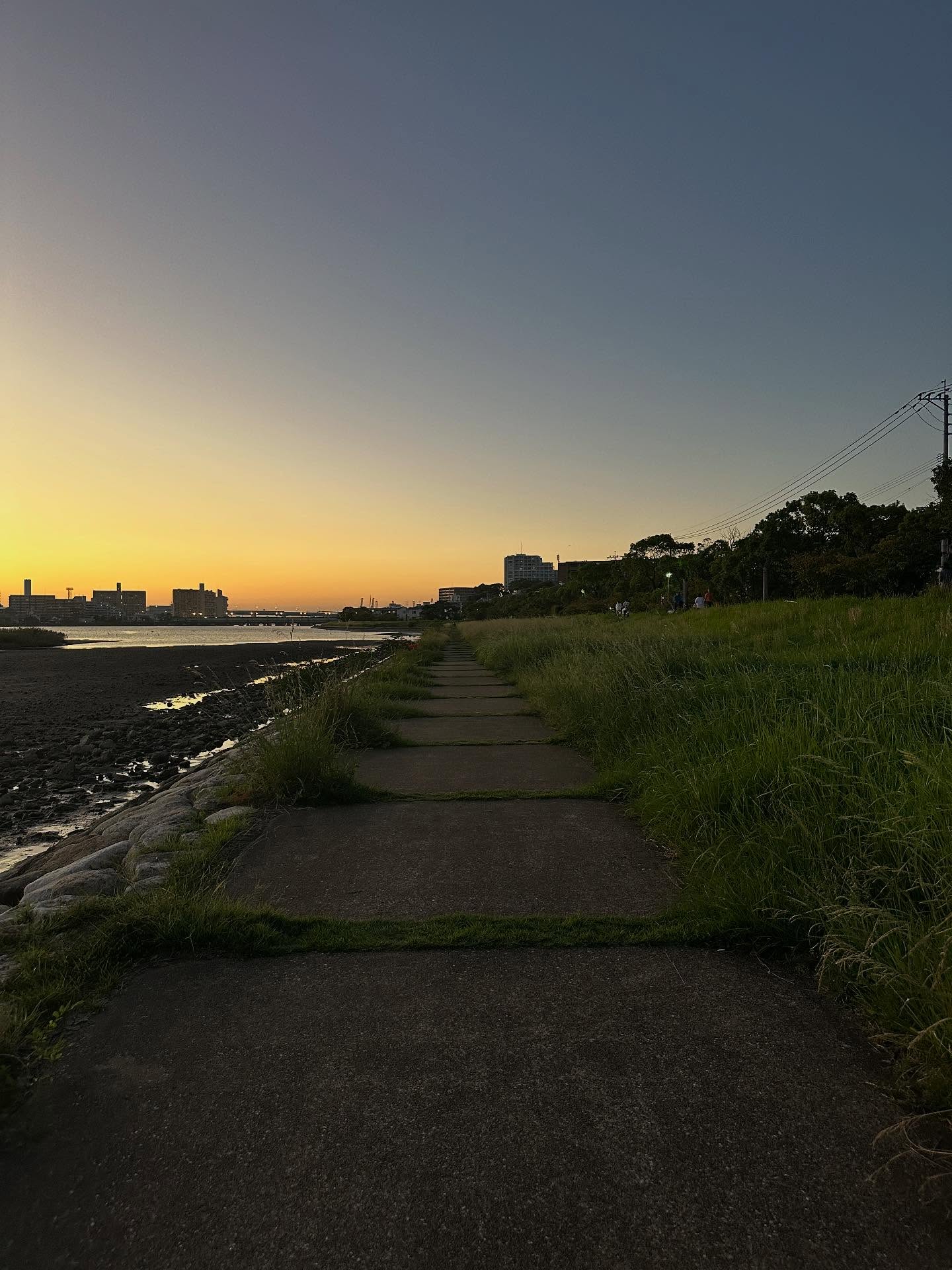 たそがれの画像のようです