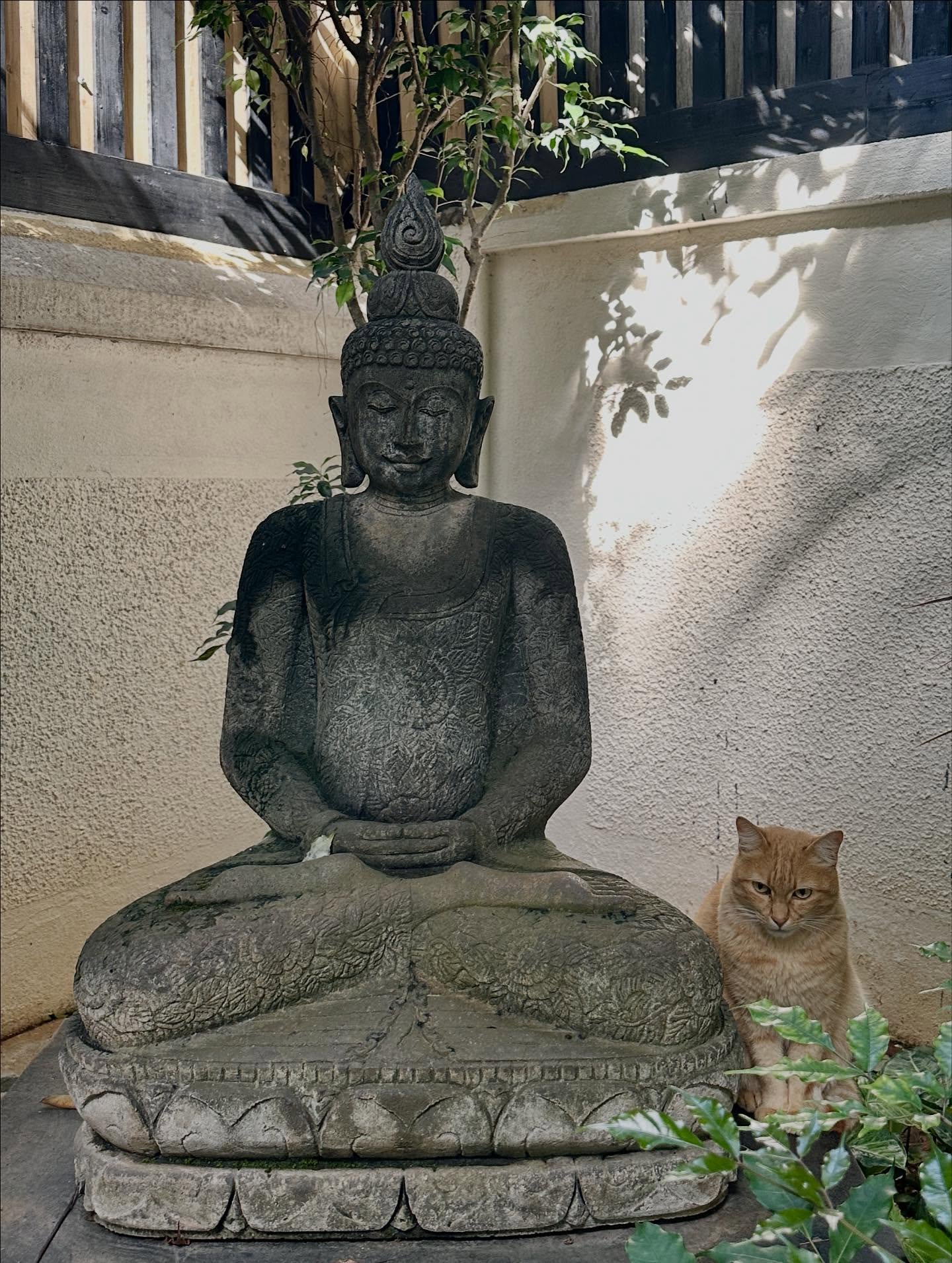 写真の説明はありません。