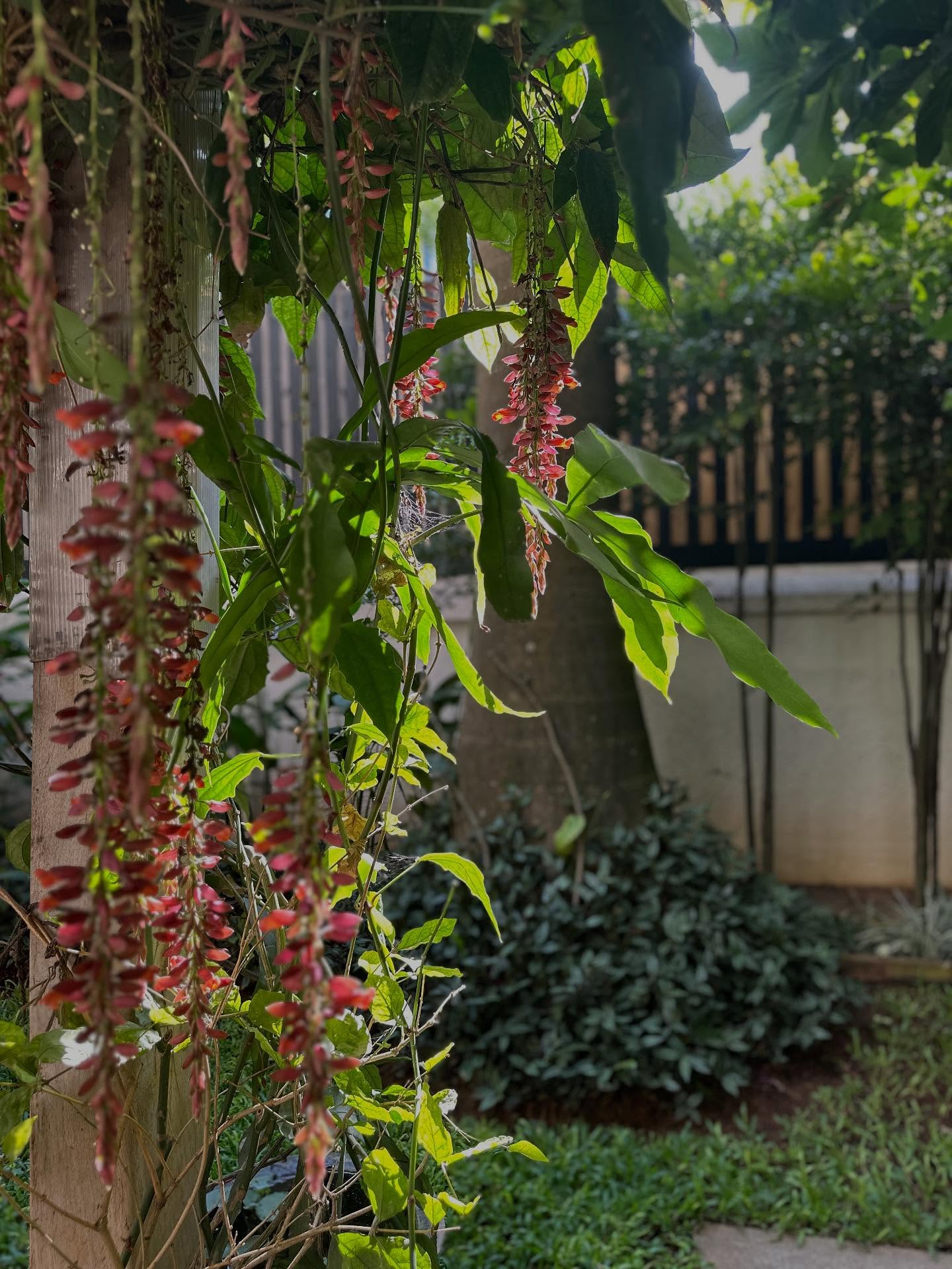 写真の説明はありません。