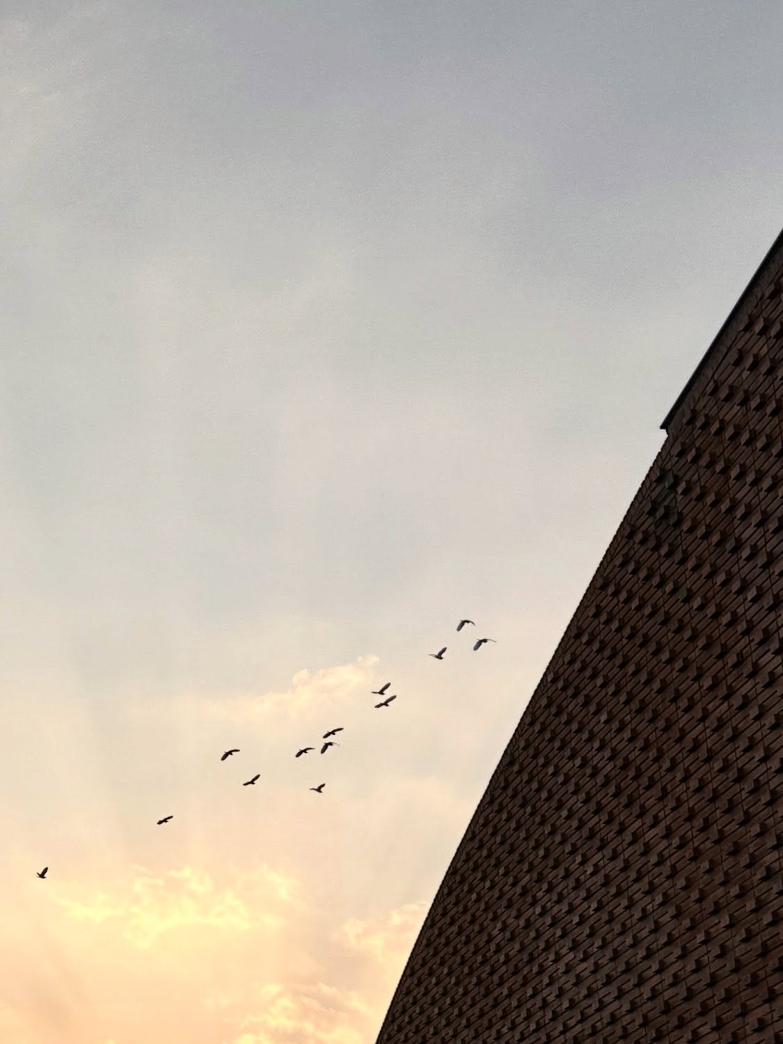 写真の説明はありません。