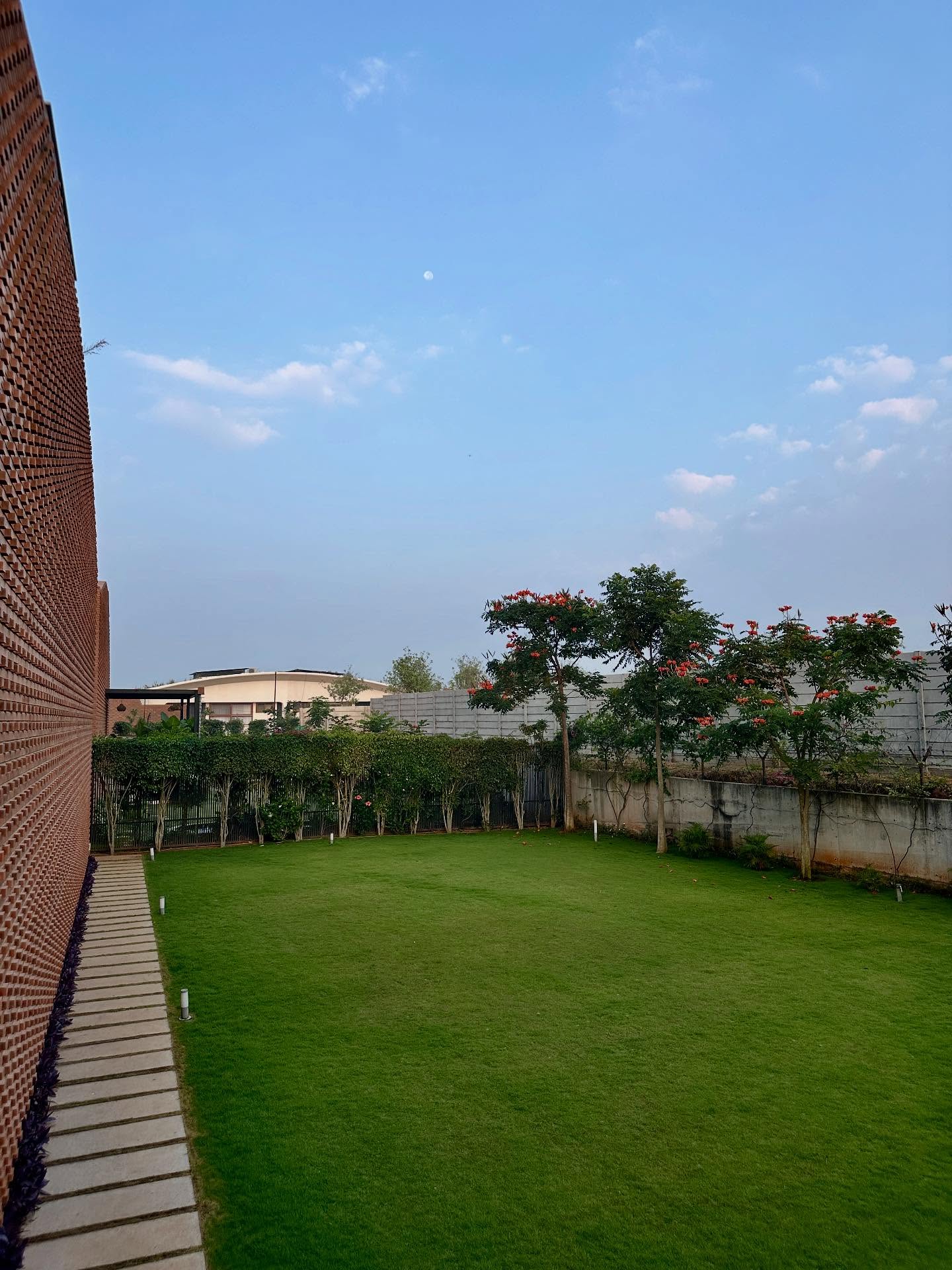 草の画像のようです