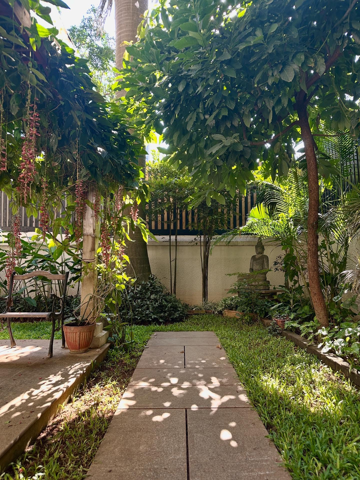 木の画像のようです