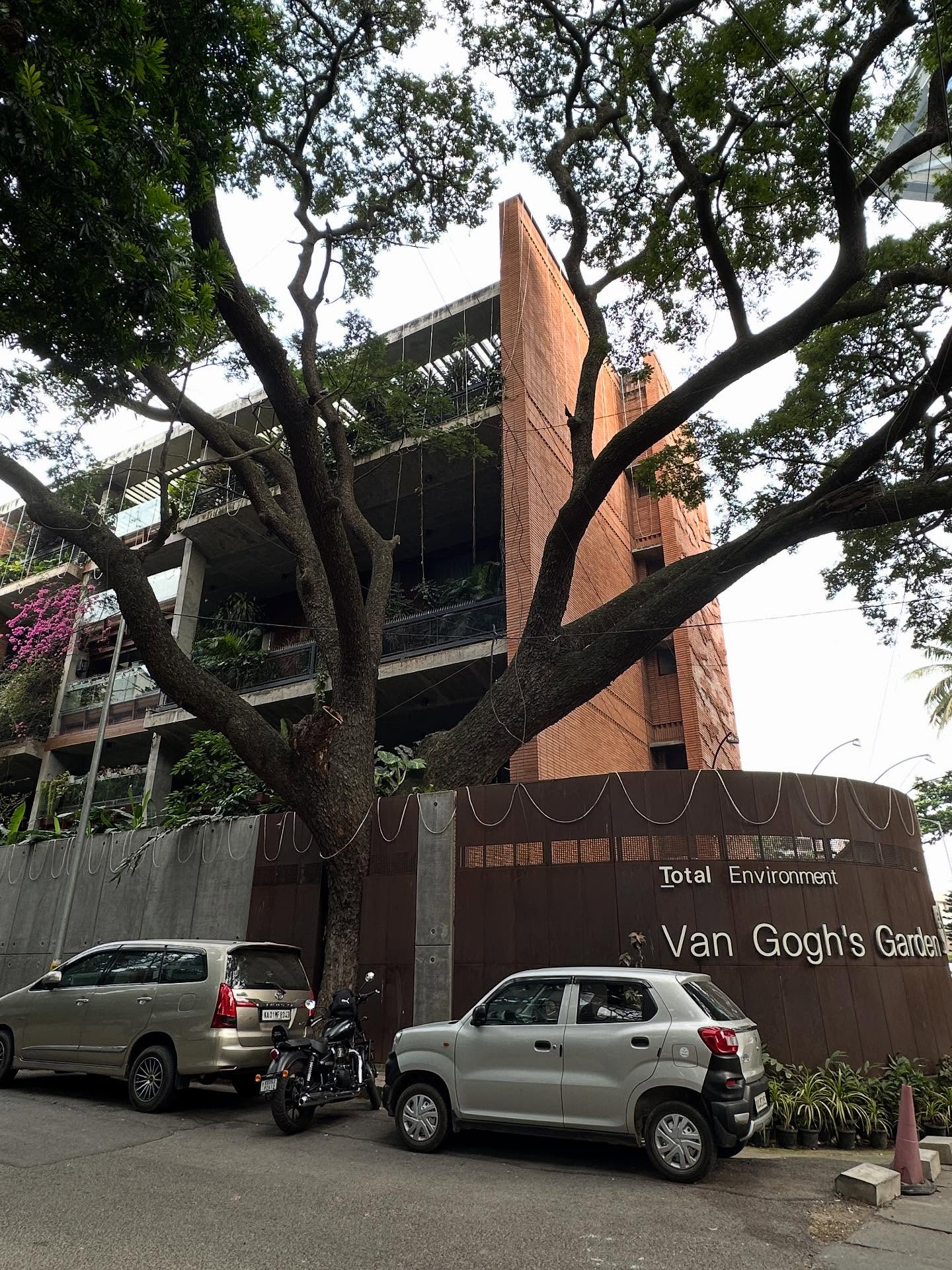 木の画像のようです