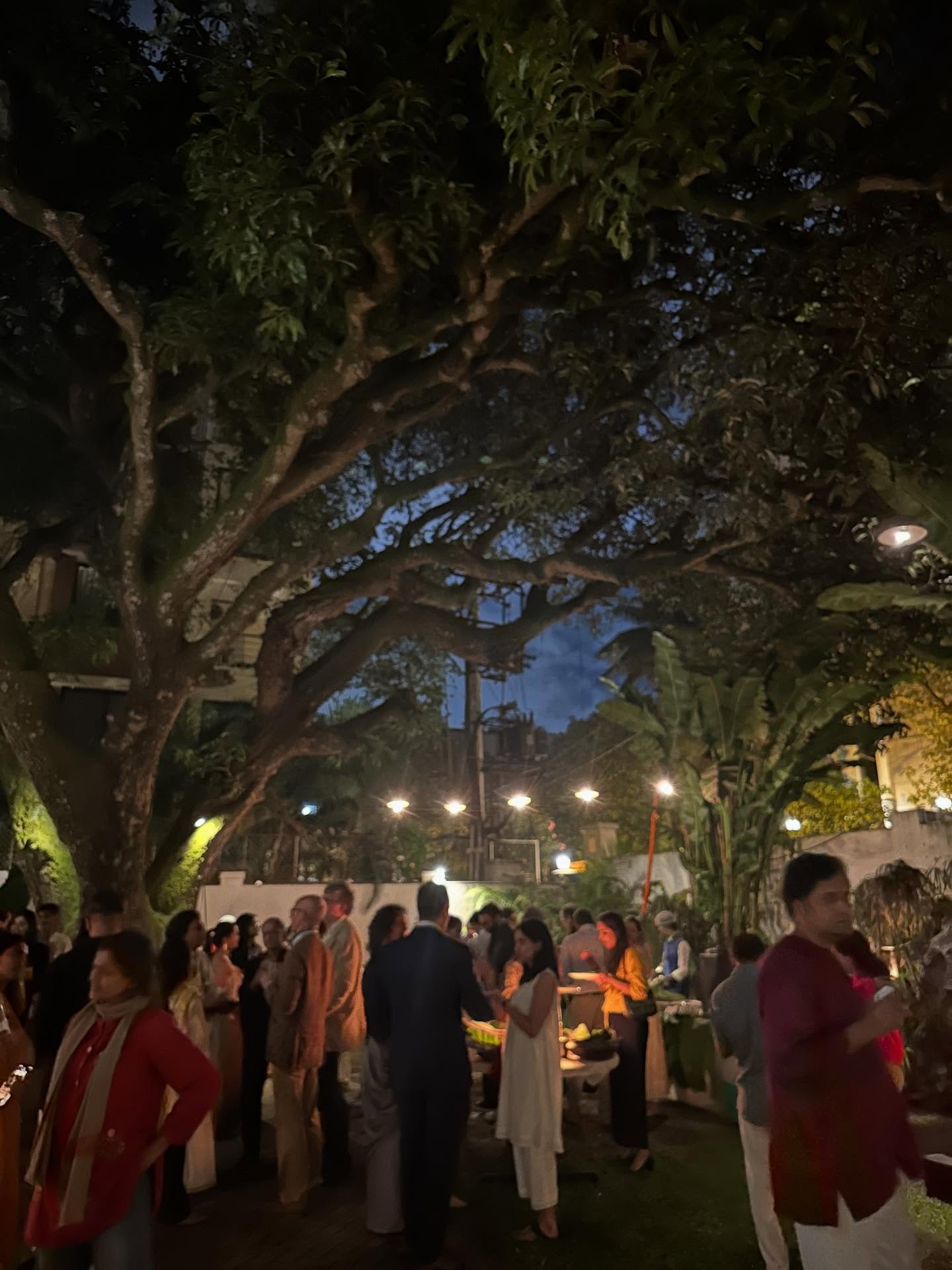 照明器具、たそがれ、エンジェルオークツリーの画像のようです