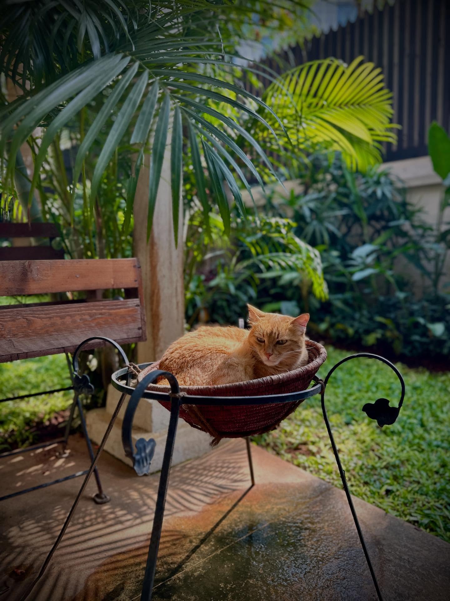 写真の説明はありません。