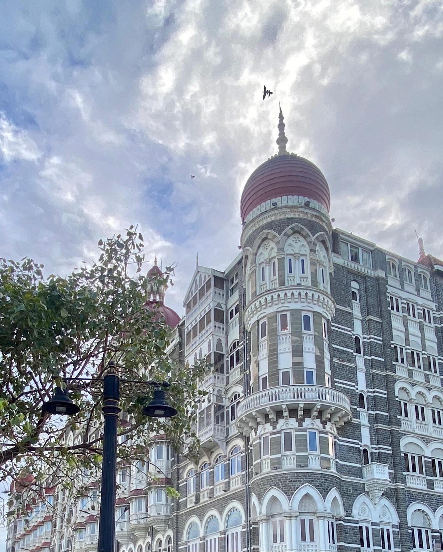 写真の説明はありません。