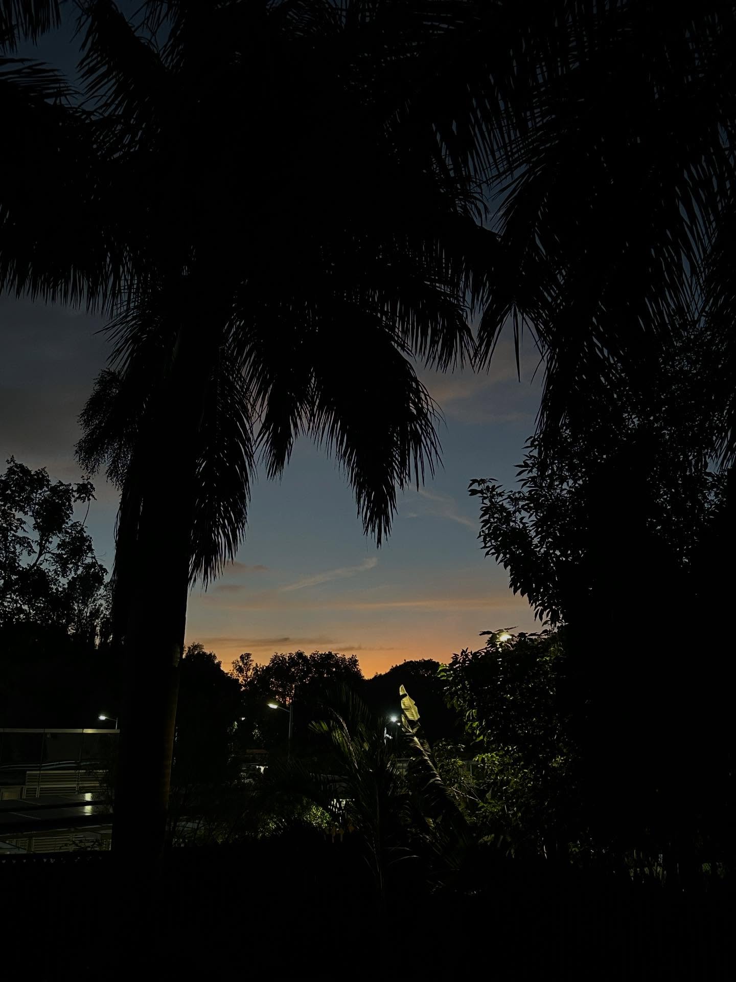 たそがれ、雲、地平線、木、自然の画像のようです