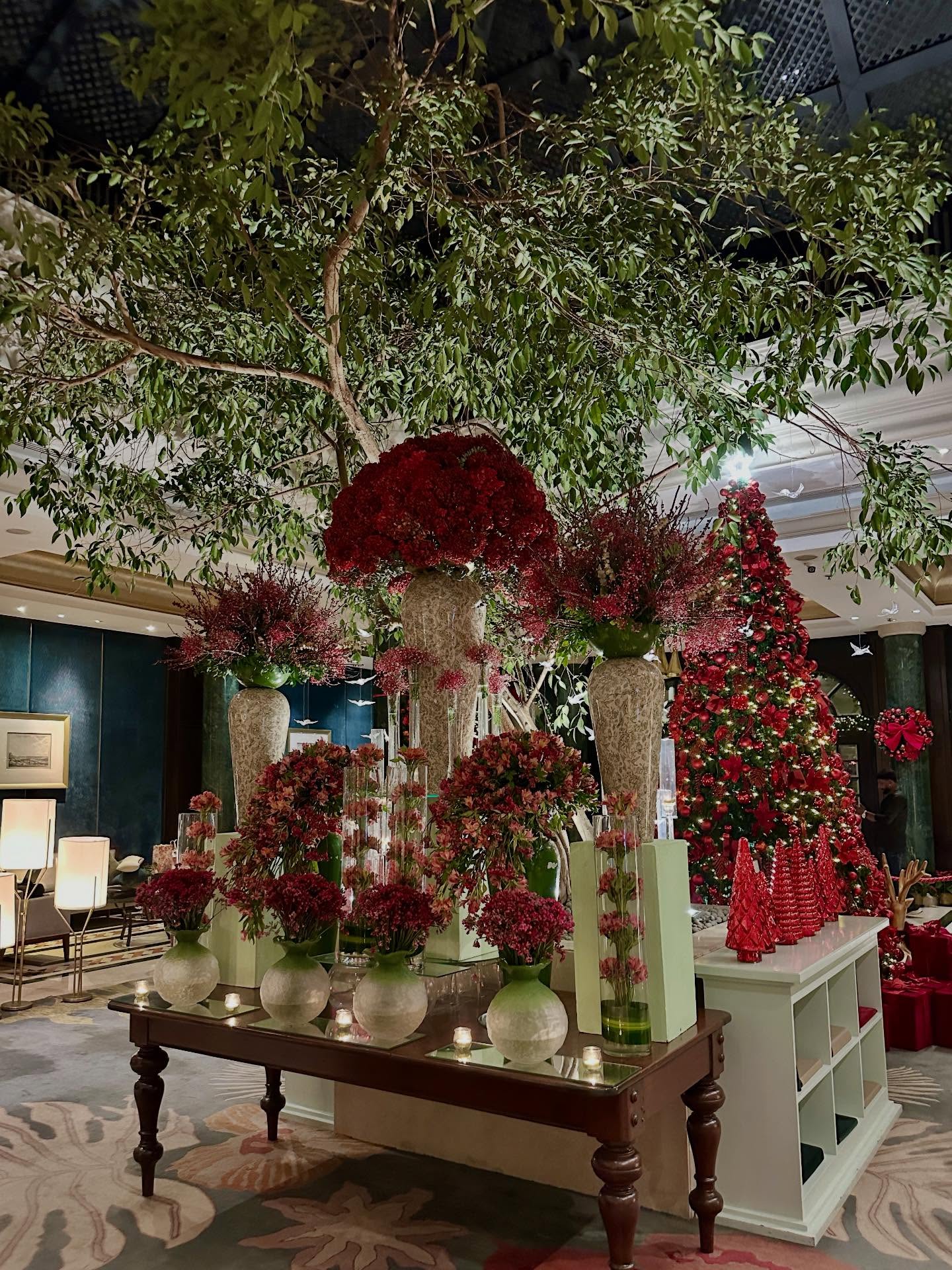 花の画像のようです