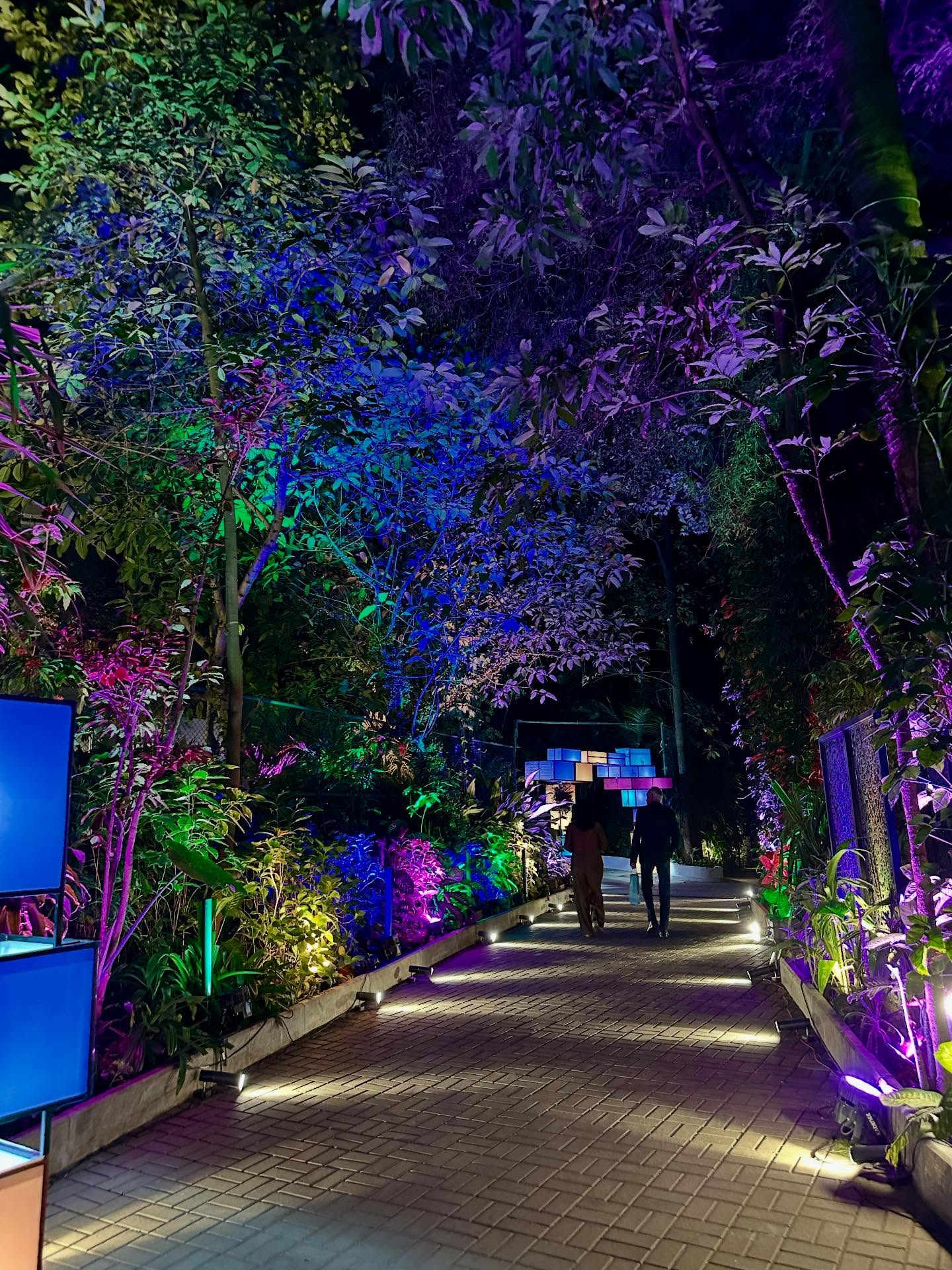 写真の説明はありません。