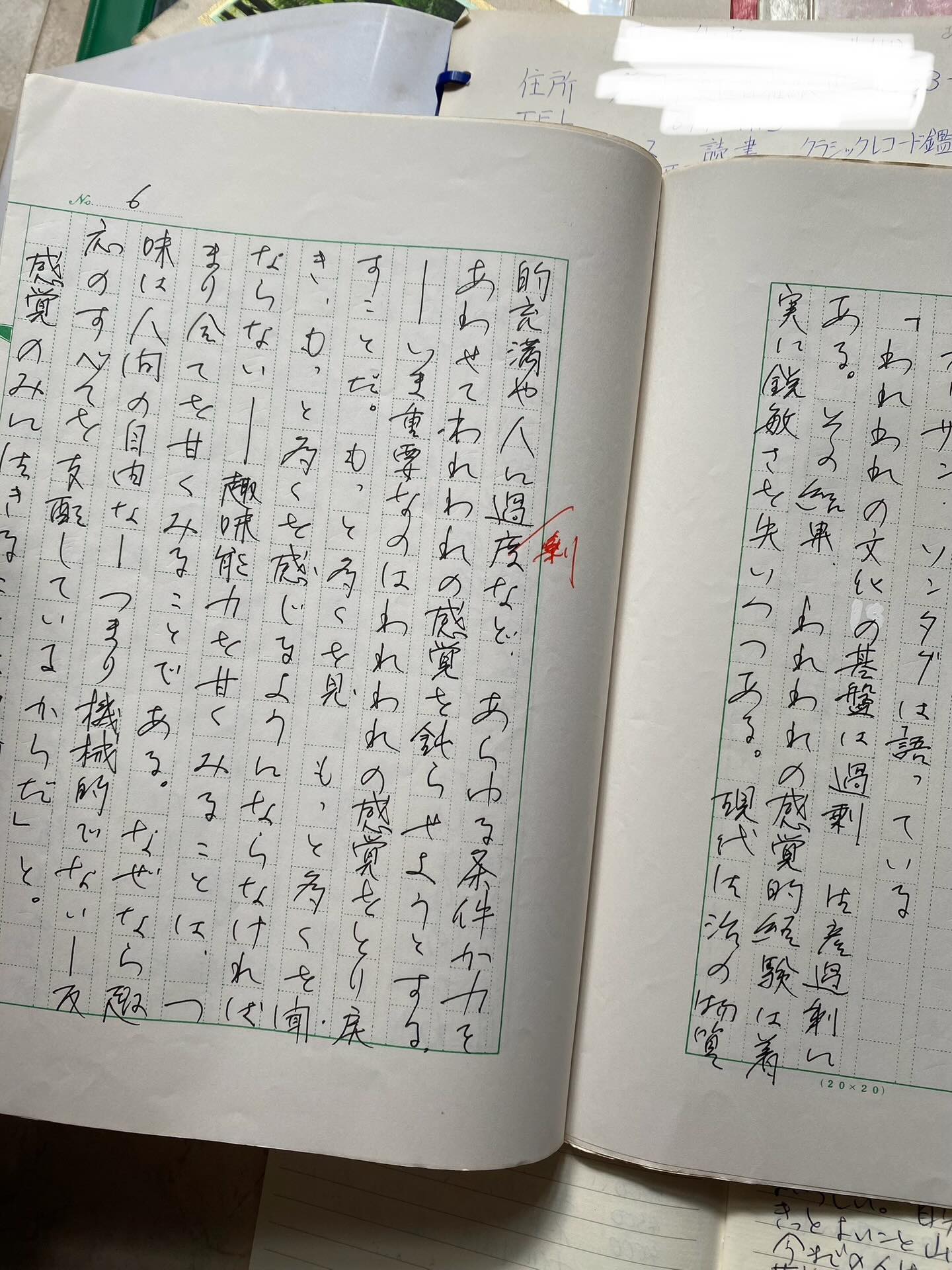 日記、レース、本、テキストの画像のようです