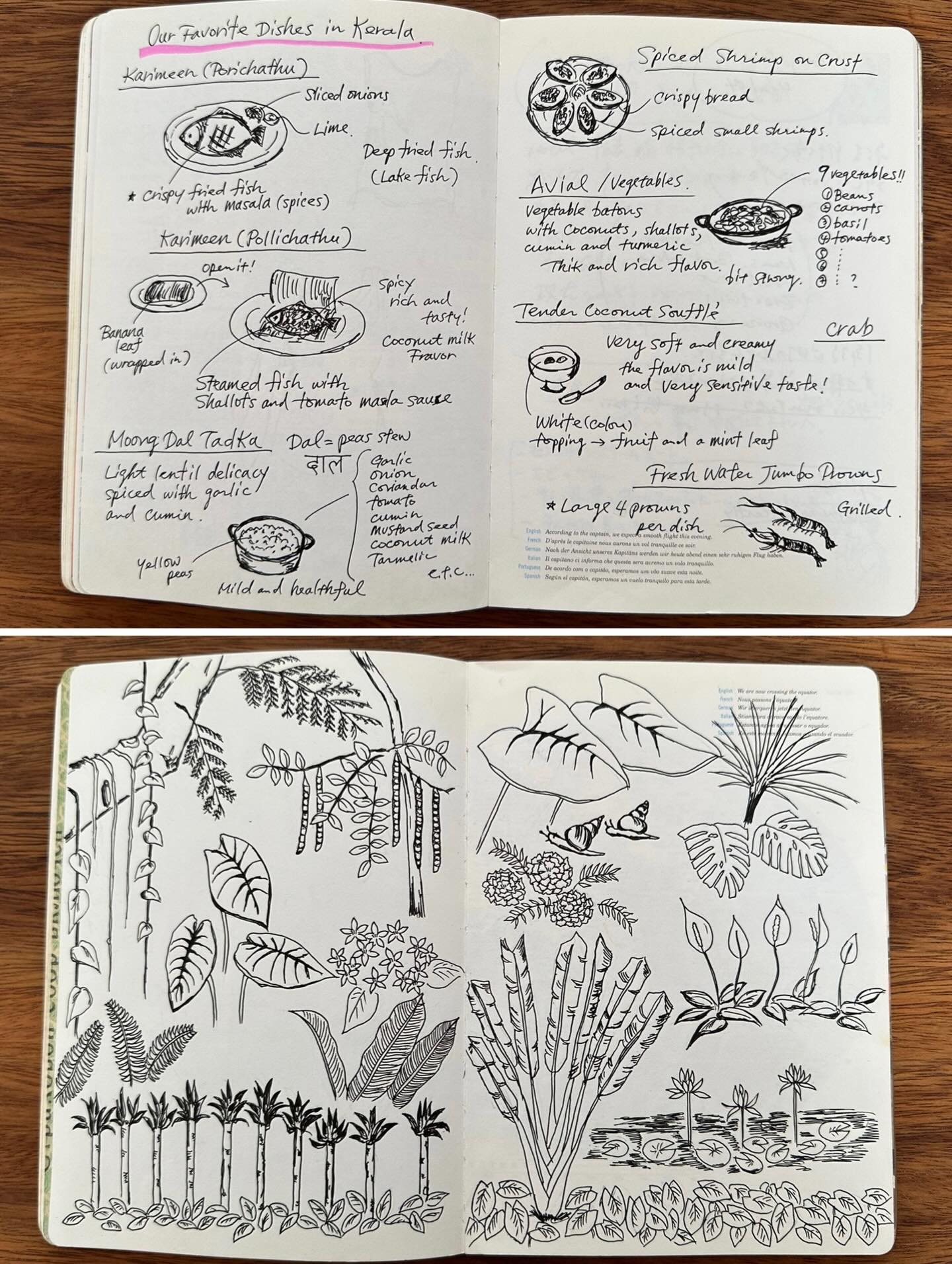 日記、テキストのイラストのようです