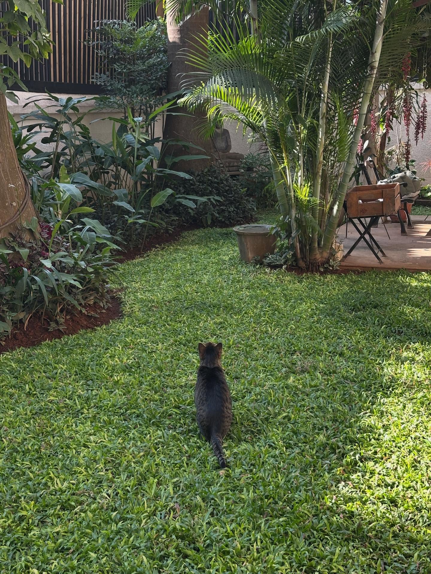 写真の説明はありません。