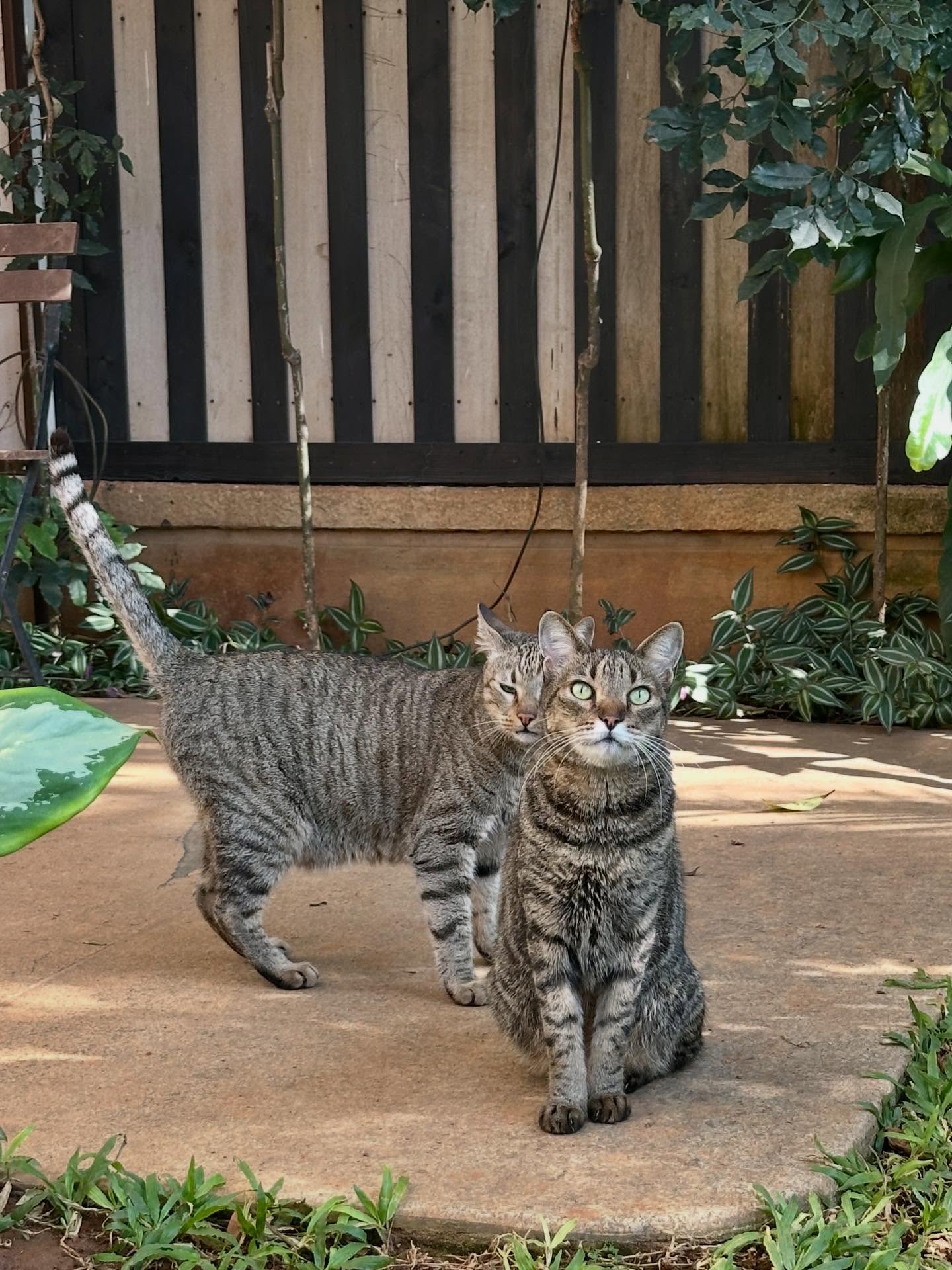 写真の説明はありません。