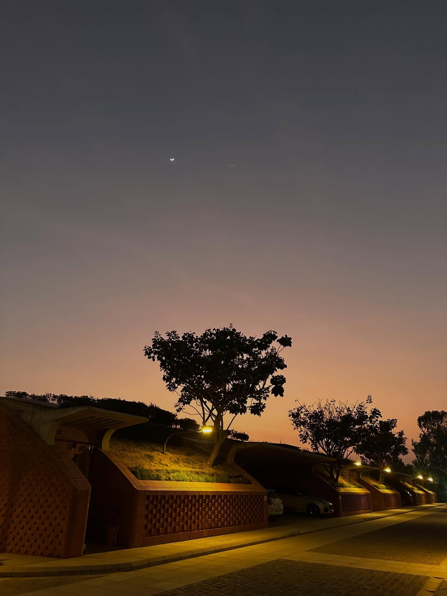 たそがれの画像のようです