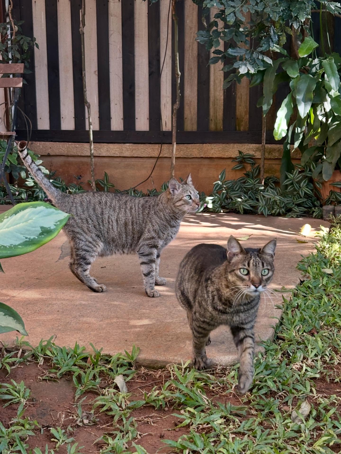 写真の説明はありません。