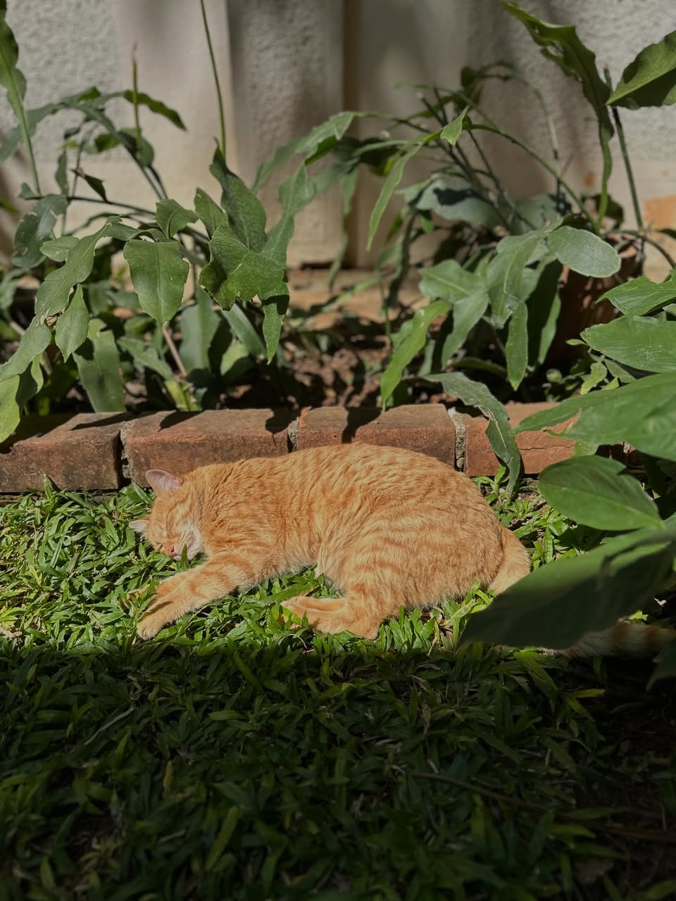 写真の説明はありません。